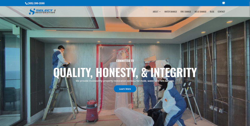 Select 1 Restoration Blog