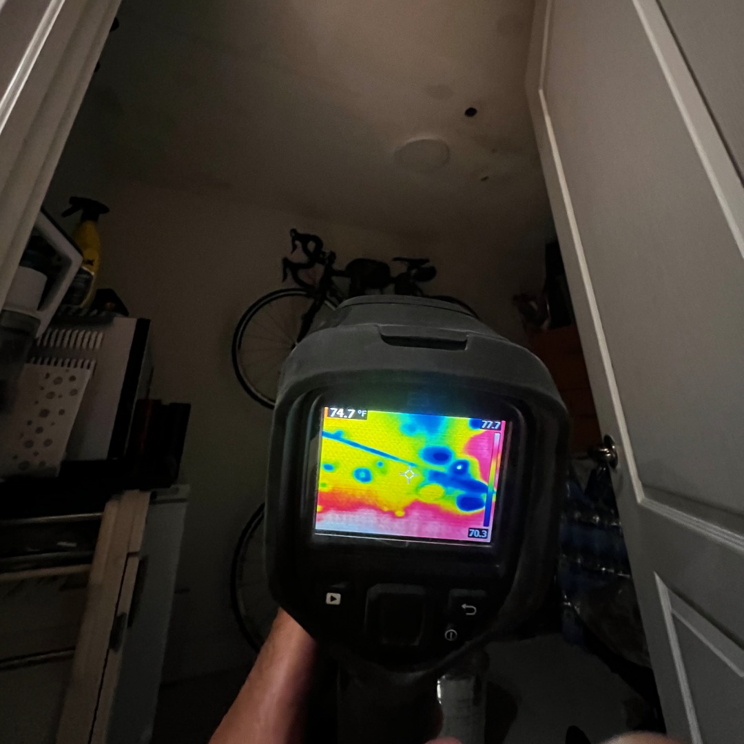 Mold Damage