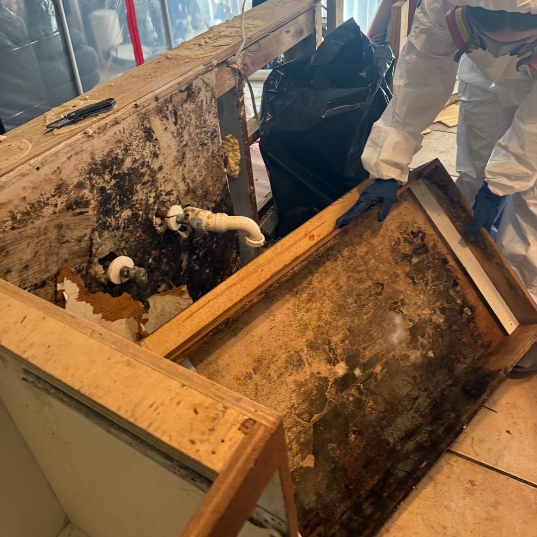 Mold Damage